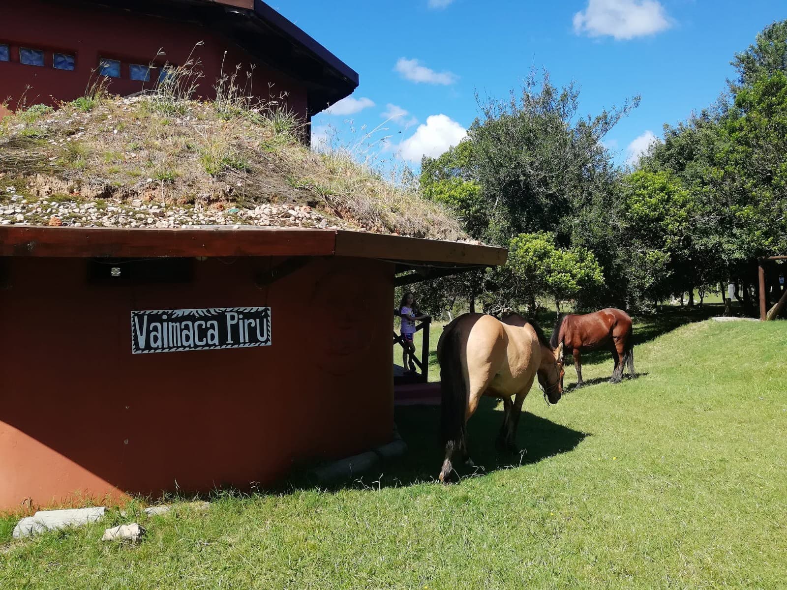 Barro — foto 2